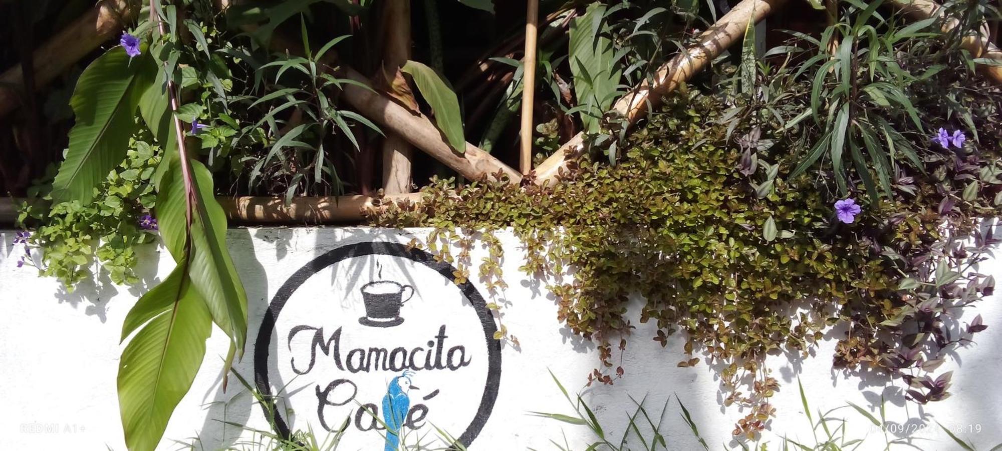 Mamacita Cafe House Hotel Moyogalpa Exterior photo